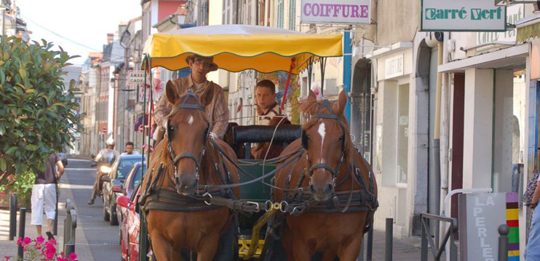 Balade à cheval et visite du harras national<br />(65000 TARBES)